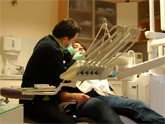 Chirurgie dentaire en Hongrie, Pays-bas